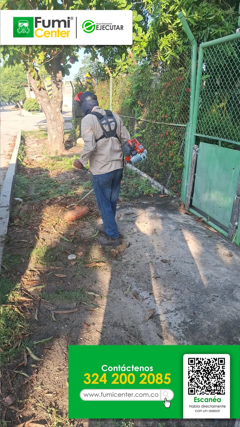 Operario de FumiCenter cortando maleza con guadaña junto a la reja de una vivienda en Santa Marta