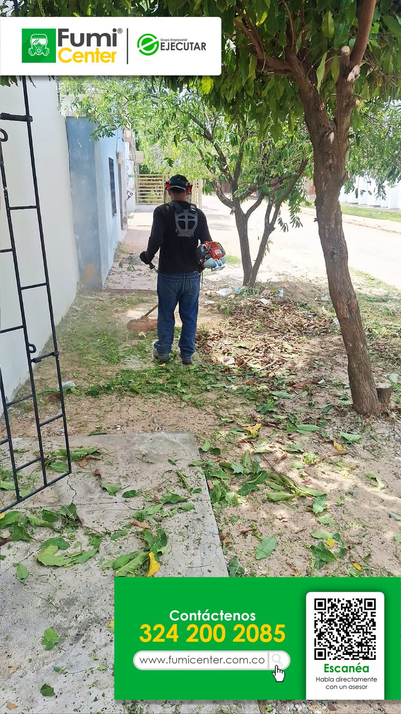 Operario de FumiCenter cortando el césped y limpiando el antejardín de una casa bajo un árbol en Santa Marta