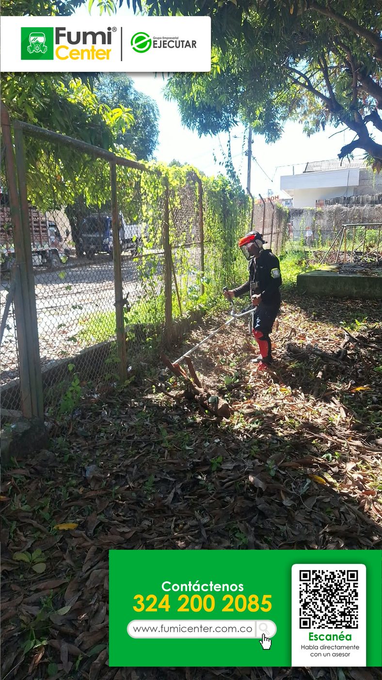 Operario de FumiCenter retirando hojas y maleza en la zona verde de una empresa junto a una malla en Santa Marta