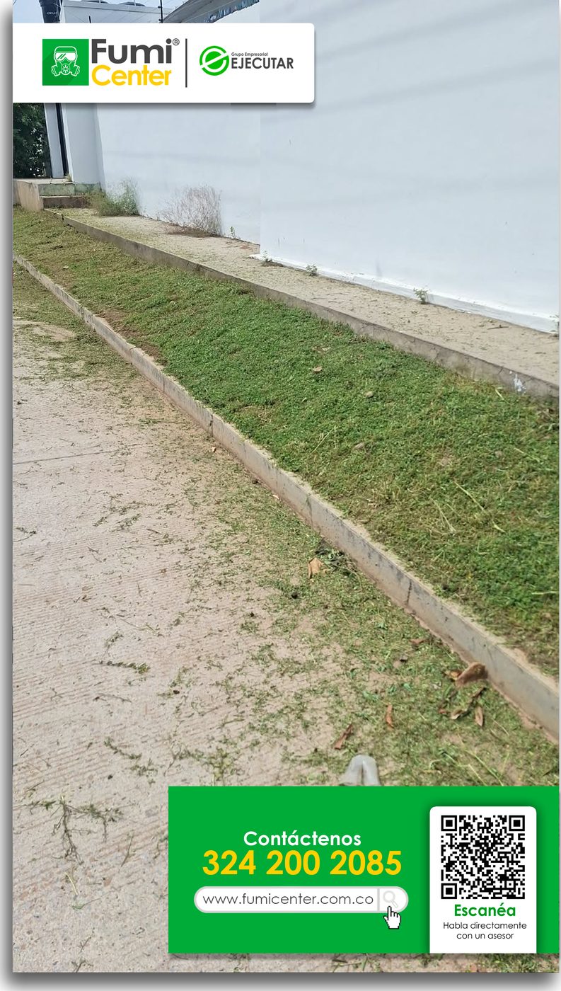 Franja de césped recién cortada junto a un muro blanco en Santa Marta, trabajo de FumiCenter