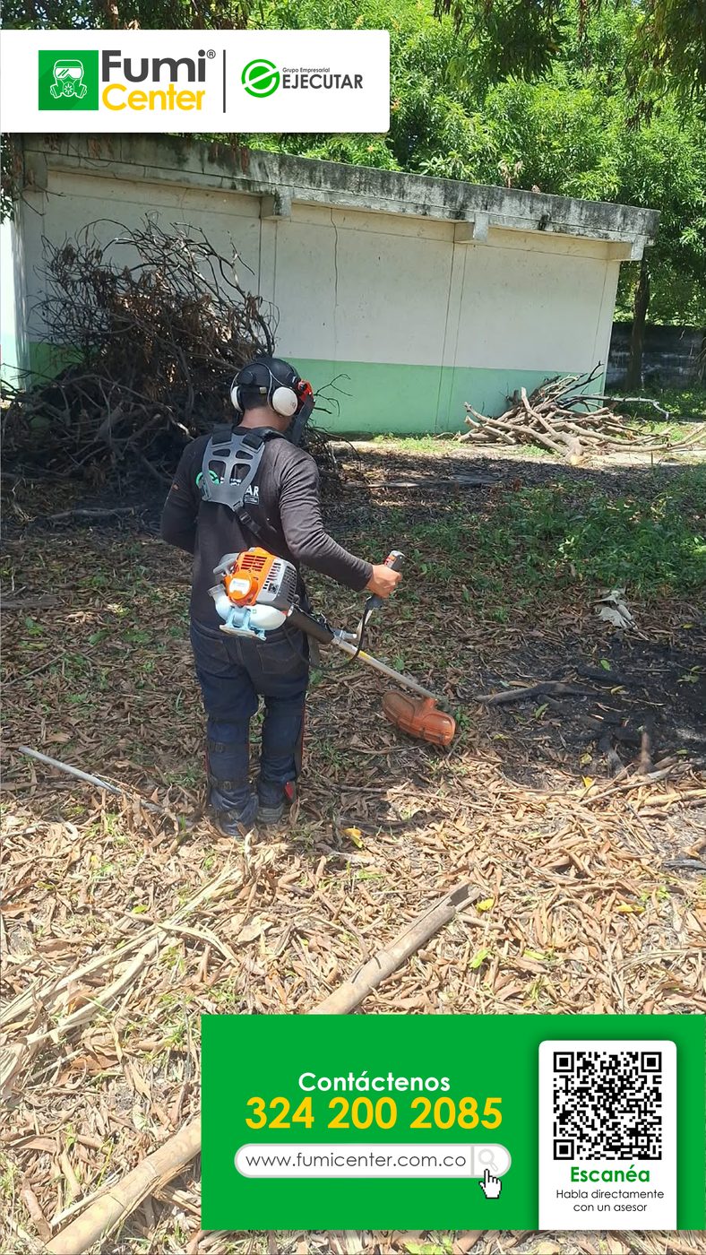 Operario de FumiCenter cortando maleza con guadaña, con ramas podadas apiladas junto a una casa en Santa Marta
