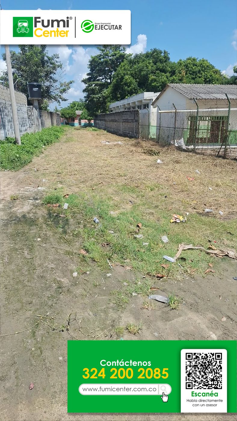 Franja de césped cortada entre un muro y una malla en Santa Marta, zona verde atendida por FumiCenter