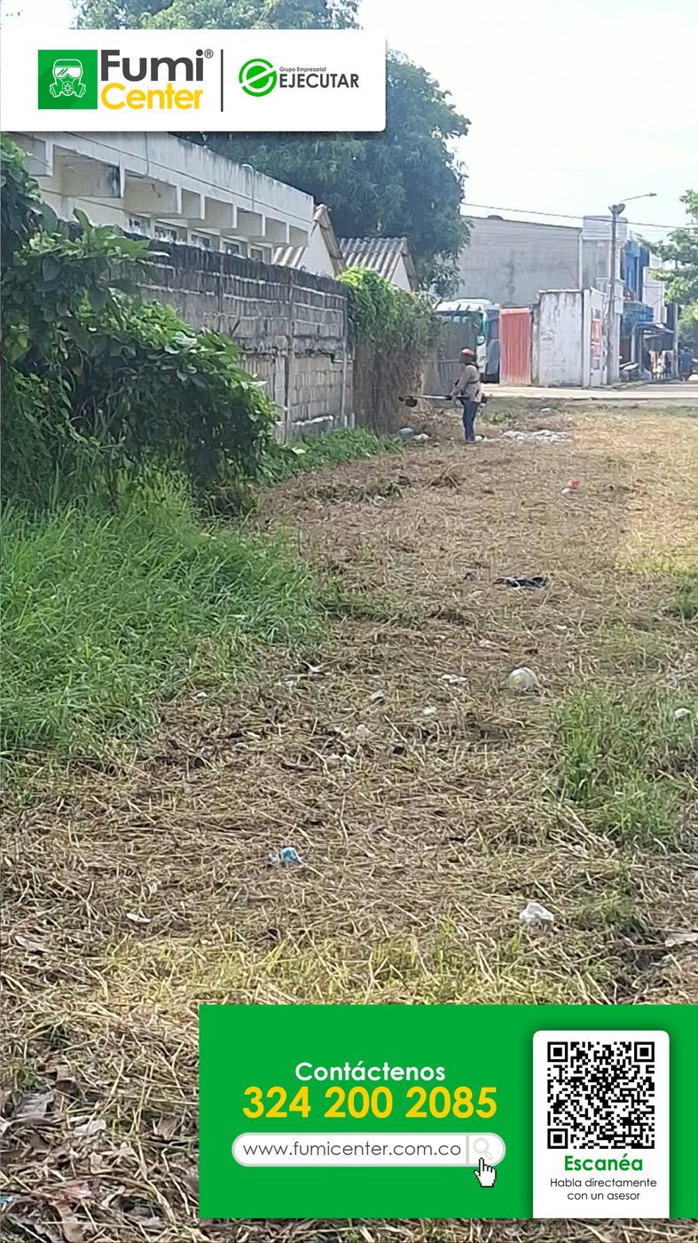 Lote con la maleza recién cortada por FumiCenter en Santa Marta