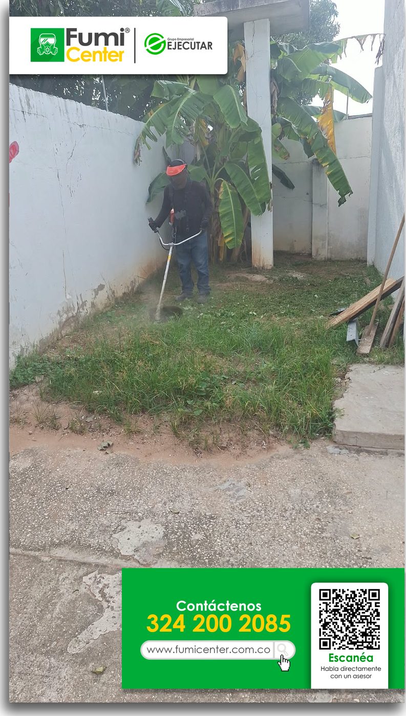 Operario de FumiCenter cortando maleza con guadaña junto a un muro blanco y matas de plátano en Santa Marta
