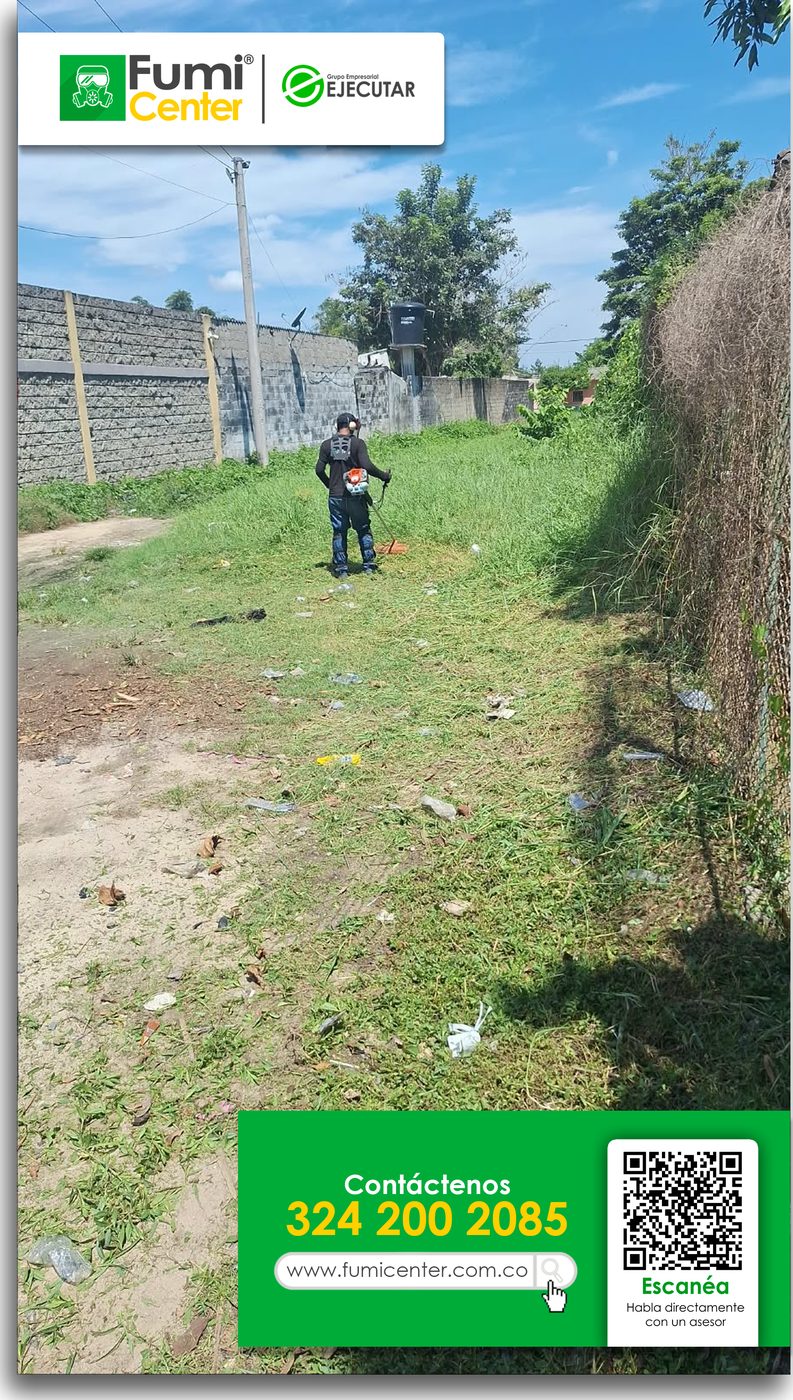 Operario de FumiCenter cortando maleza con guadaña en una franja perimetral entre un muro y una malla en Santa Marta