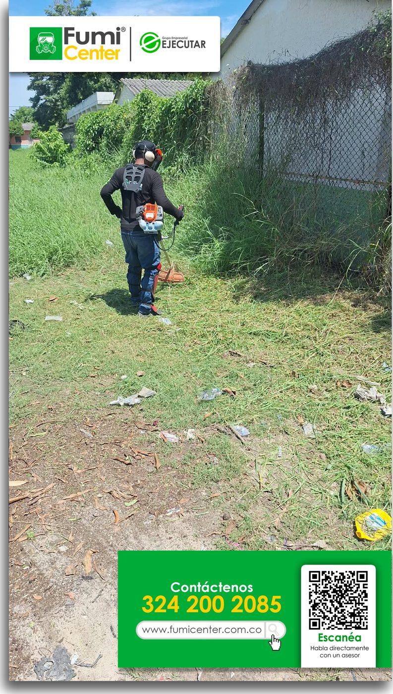 Operario de FumiCenter cortando maleza alta con guadaña junto a un cerramiento en Santa Marta
