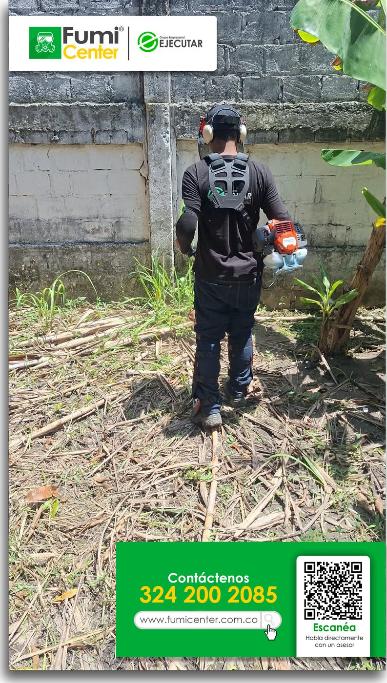 Operario de FumiCenter con guadaña y protector auditivo cortando maleza seca en un patio en Santa Marta