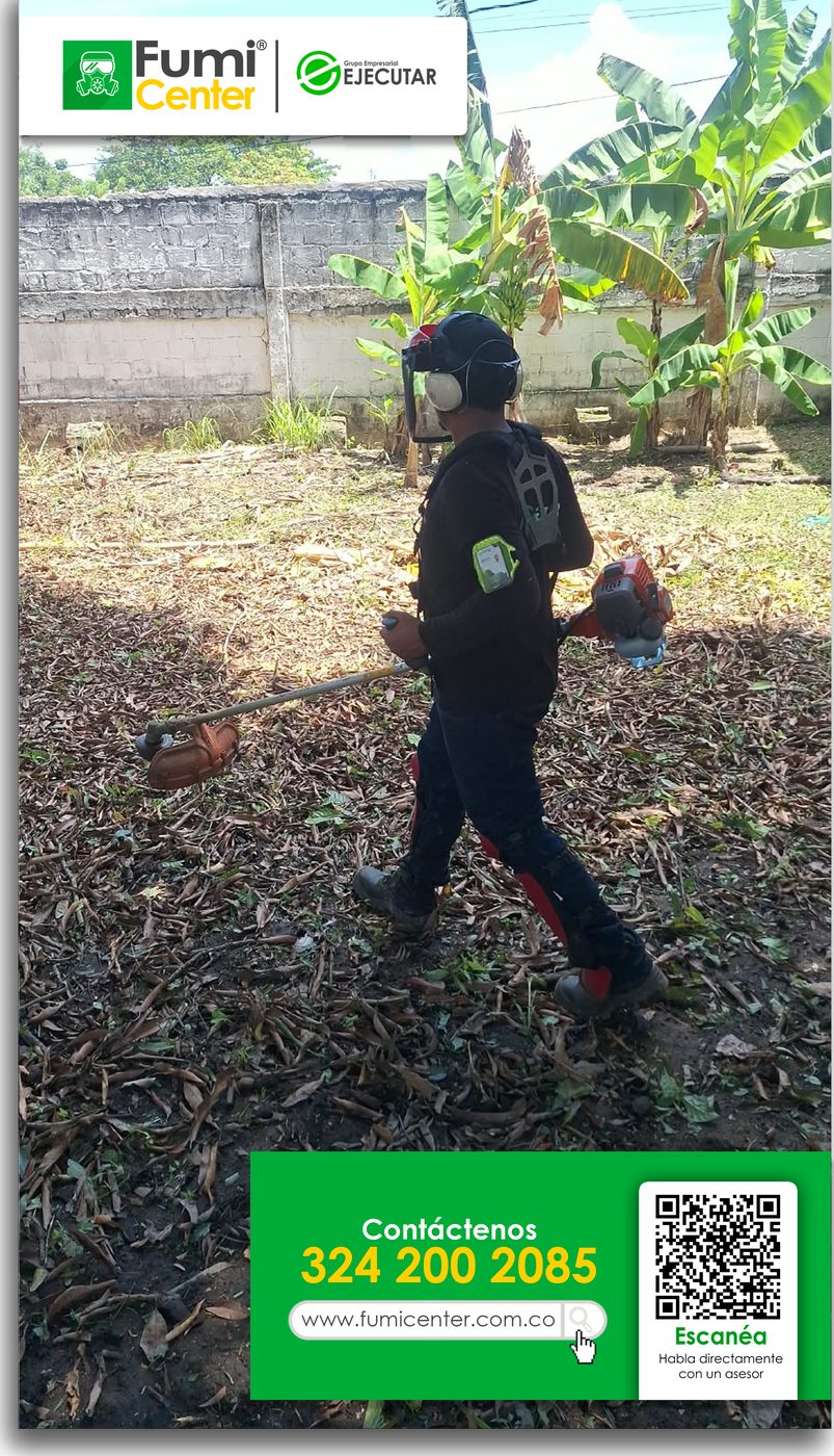 Operario de FumiCenter con guadaña y equipo de protección junto a matas de plátano en Santa Marta