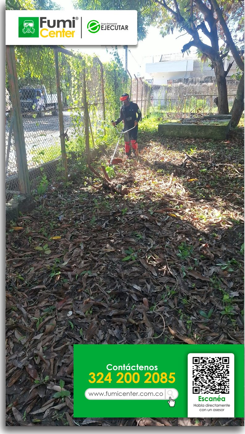Operario de FumiCenter cortando maleza en la zona verde de una bodega, con camiones al fondo, en Santa Marta