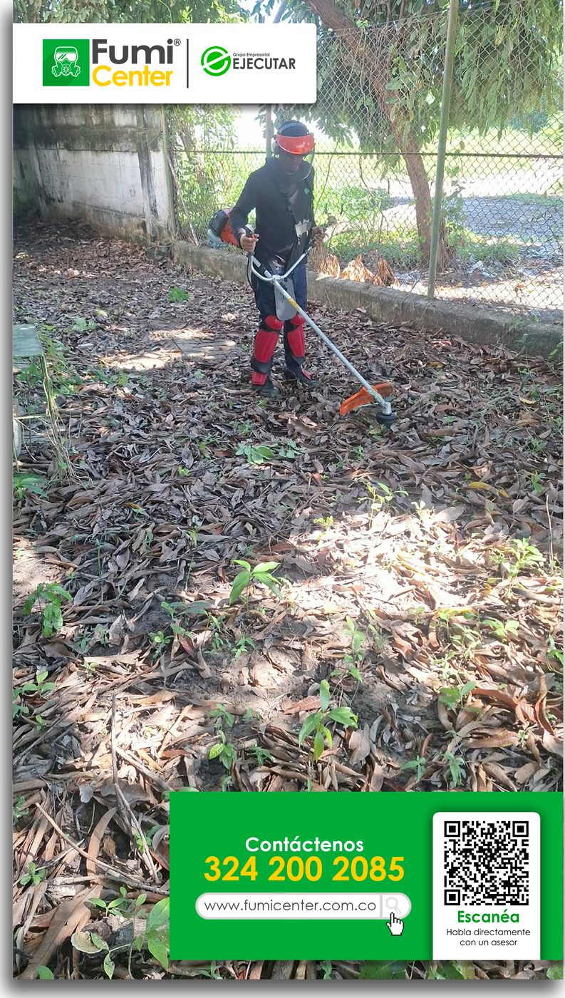 Operario de FumiCenter con guadaña y careta cortando maleza en un patio con hojarasca en Santa Marta