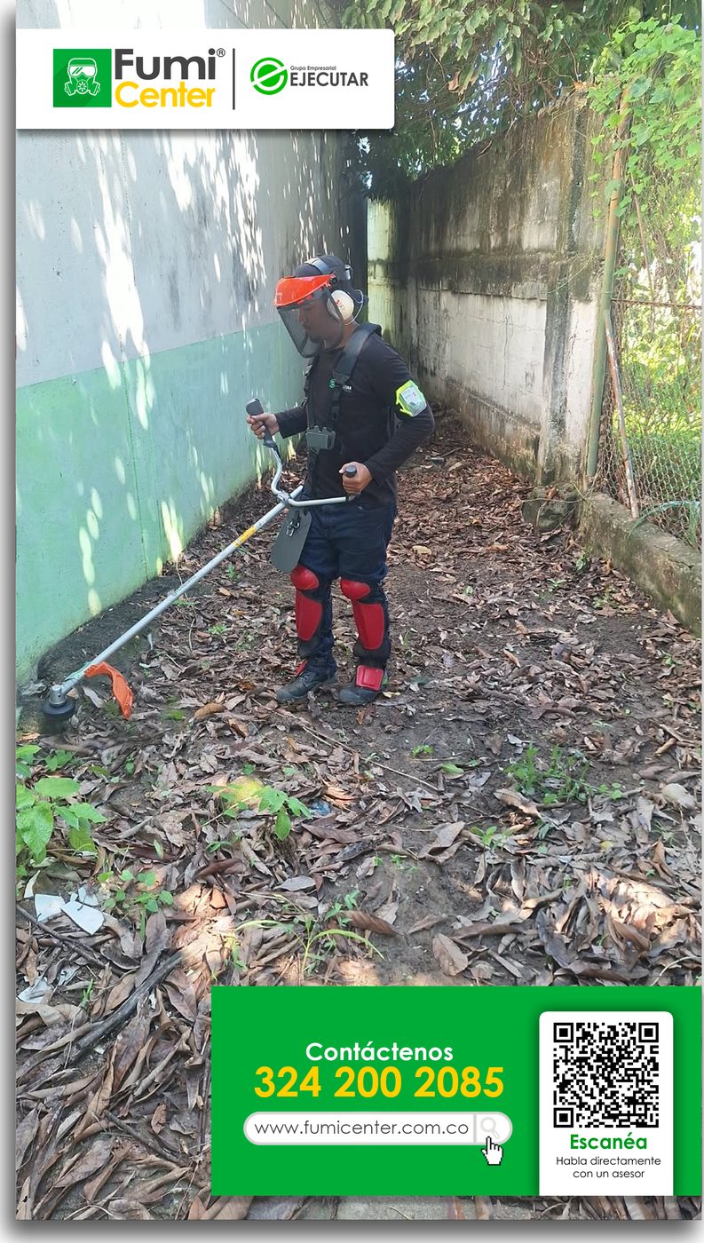 Operario de FumiCenter cortando maleza con guadaña en el pasillo lateral de una edificación en Santa Marta