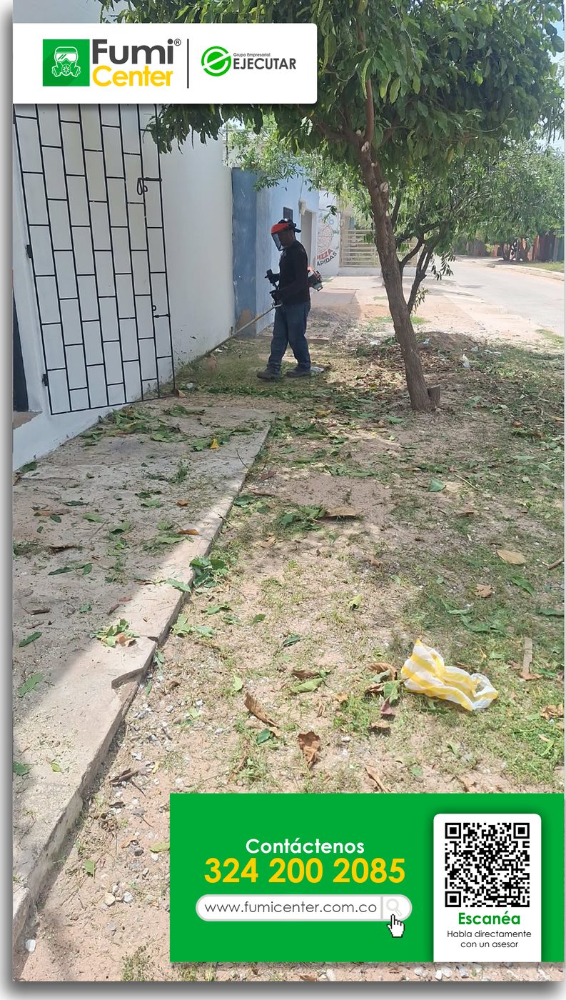 Operario de FumiCenter cortando maleza y ramas bajas en el andén de una calle en Santa Marta