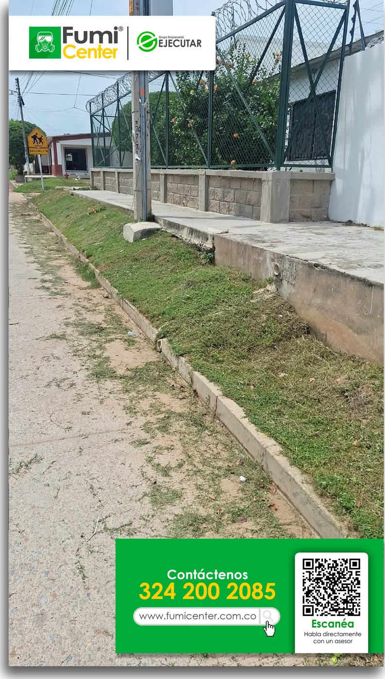 Andén y franja de césped de una institución en Santa Marta después del corte por FumiCenter