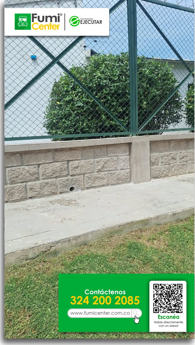 Seto recortado en forma redonda junto a una malla y un muro de piedra en Santa Marta, trabajo de FumiCenter