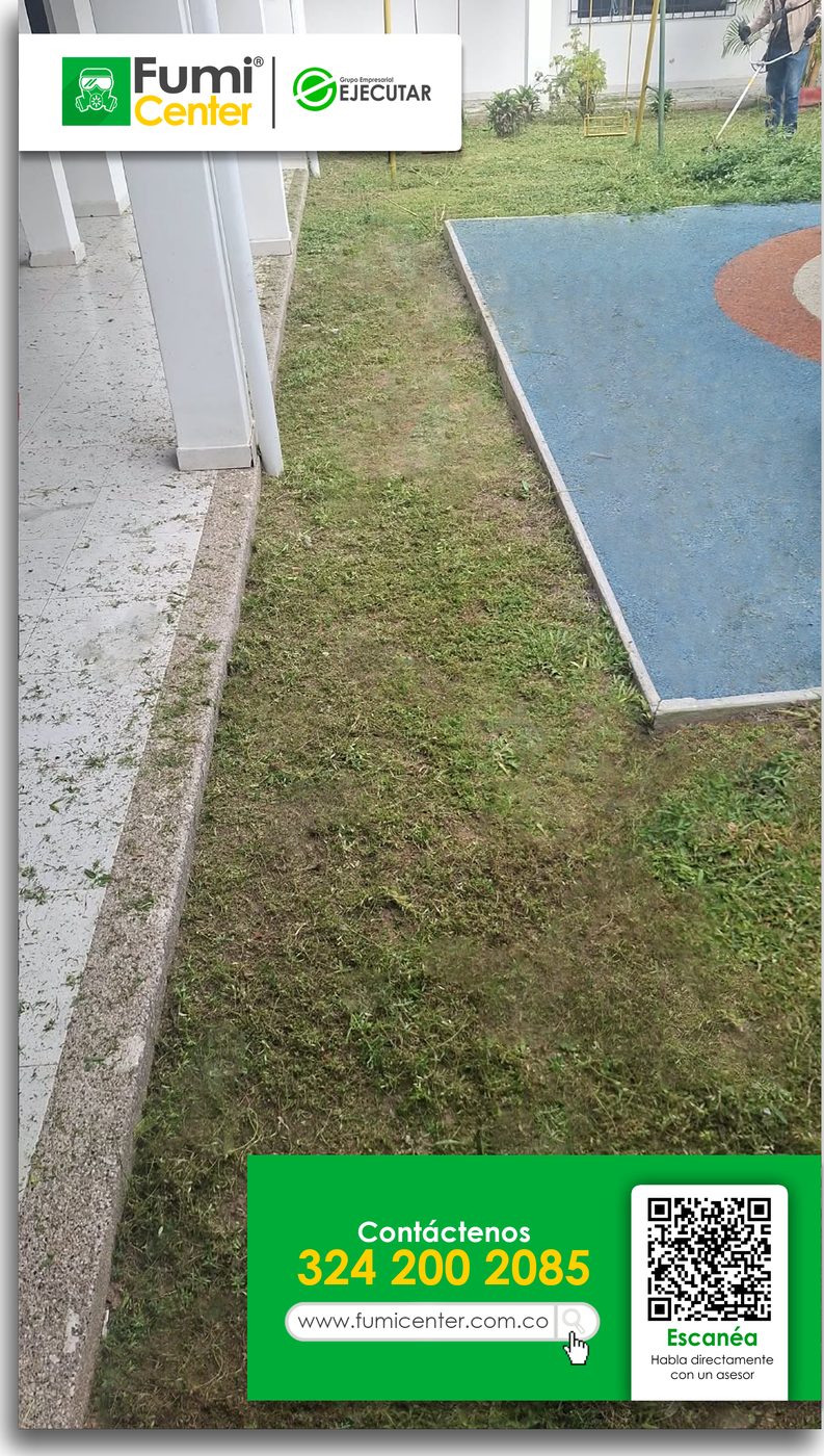 Césped cortado junto a la zona de juegos infantiles de un colegio en Santa Marta por FumiCenter